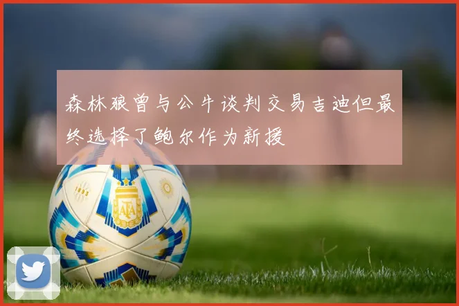 森林狼曾与公牛谈判交易吉迪但最终选择了鲍尔作为新援