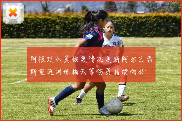 阿根廷队员恢复情况更新阿尔瓦雷斯重返训练梅西等伤员持续向好